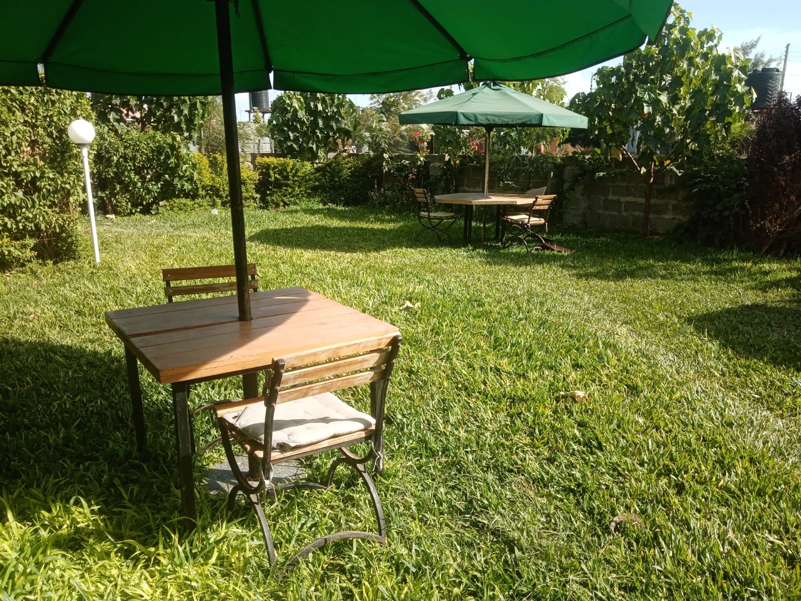Garden Area